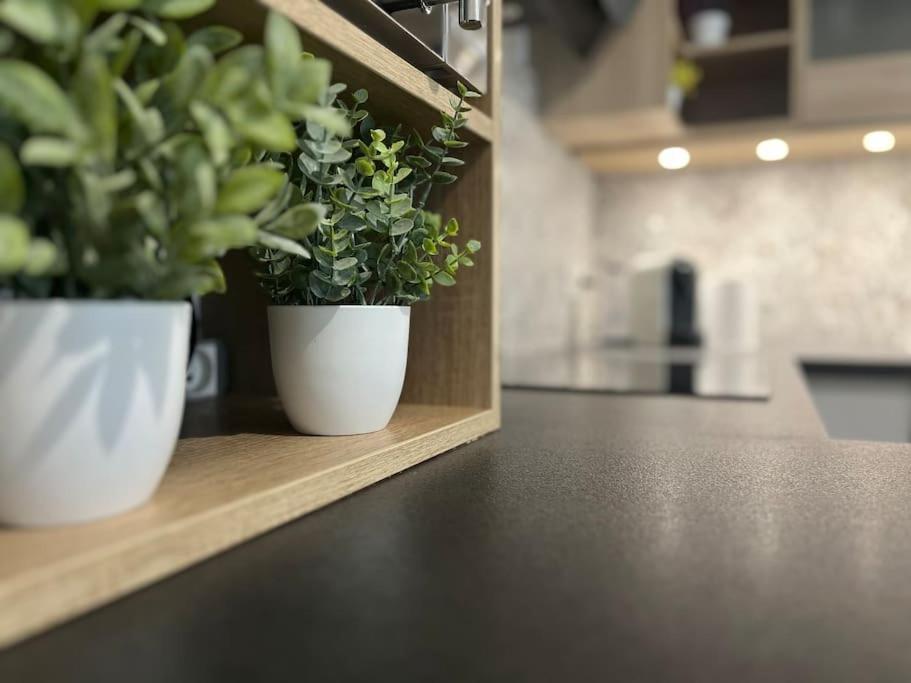 Appartement T2 Vue Panoramique Sur Annecy Seynod Εξωτερικό φωτογραφία