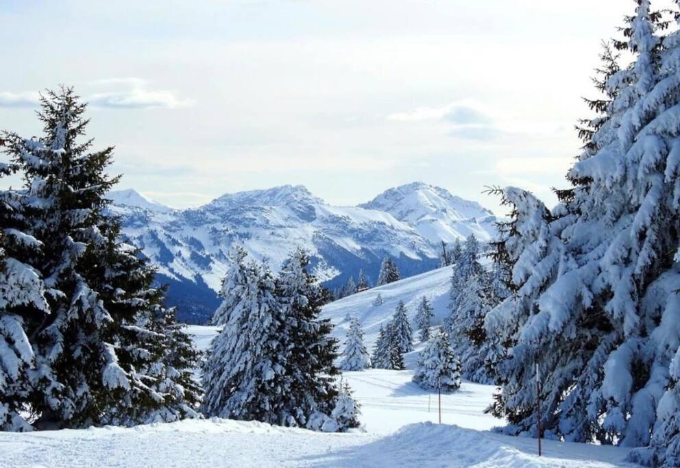 Appartement T2 Vue Panoramique Sur Annecy Seynod Εξωτερικό φωτογραφία
